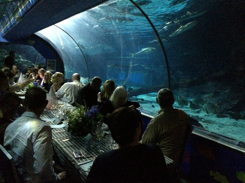 JAM Aquarium Dinner